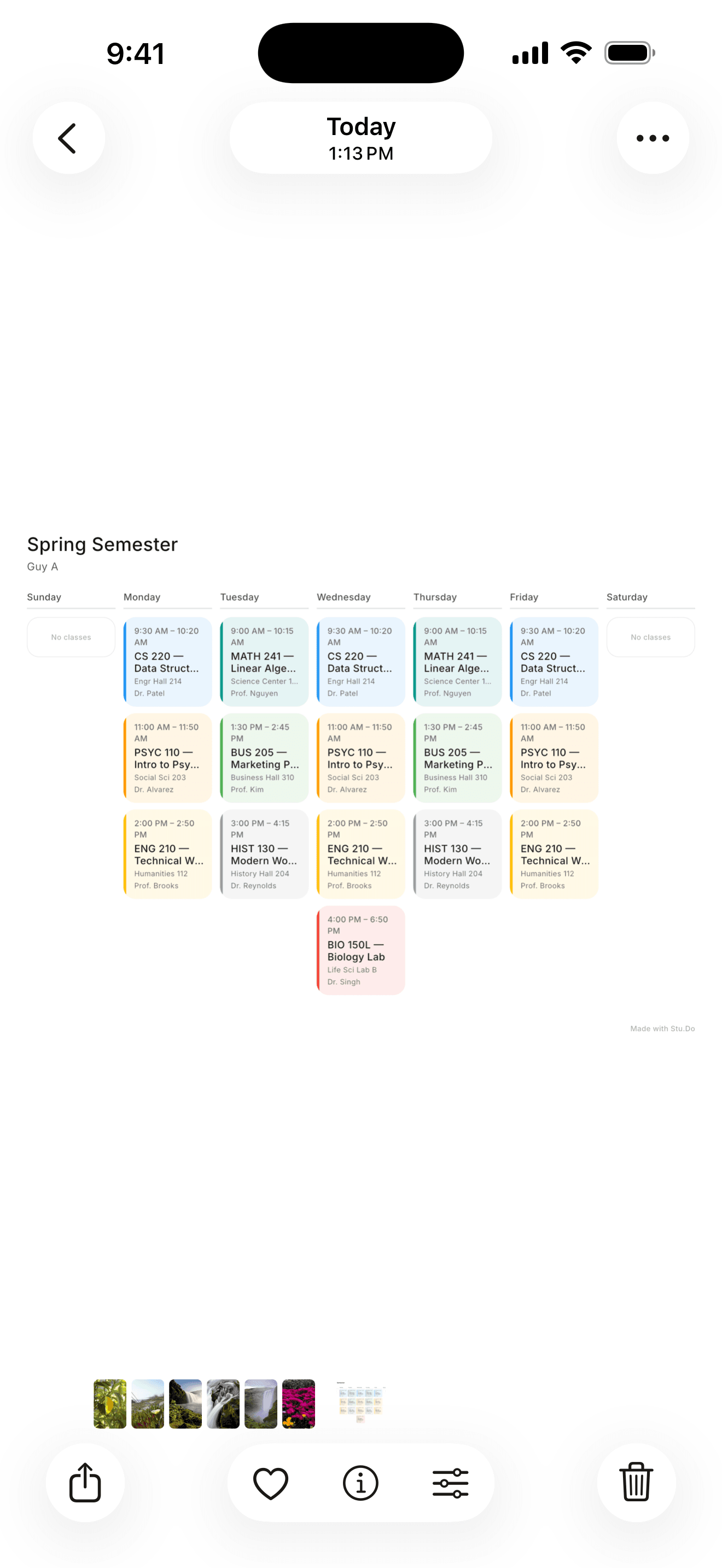 Schedule export PDF preview